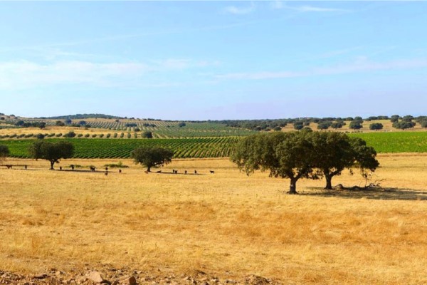 Alentejo
